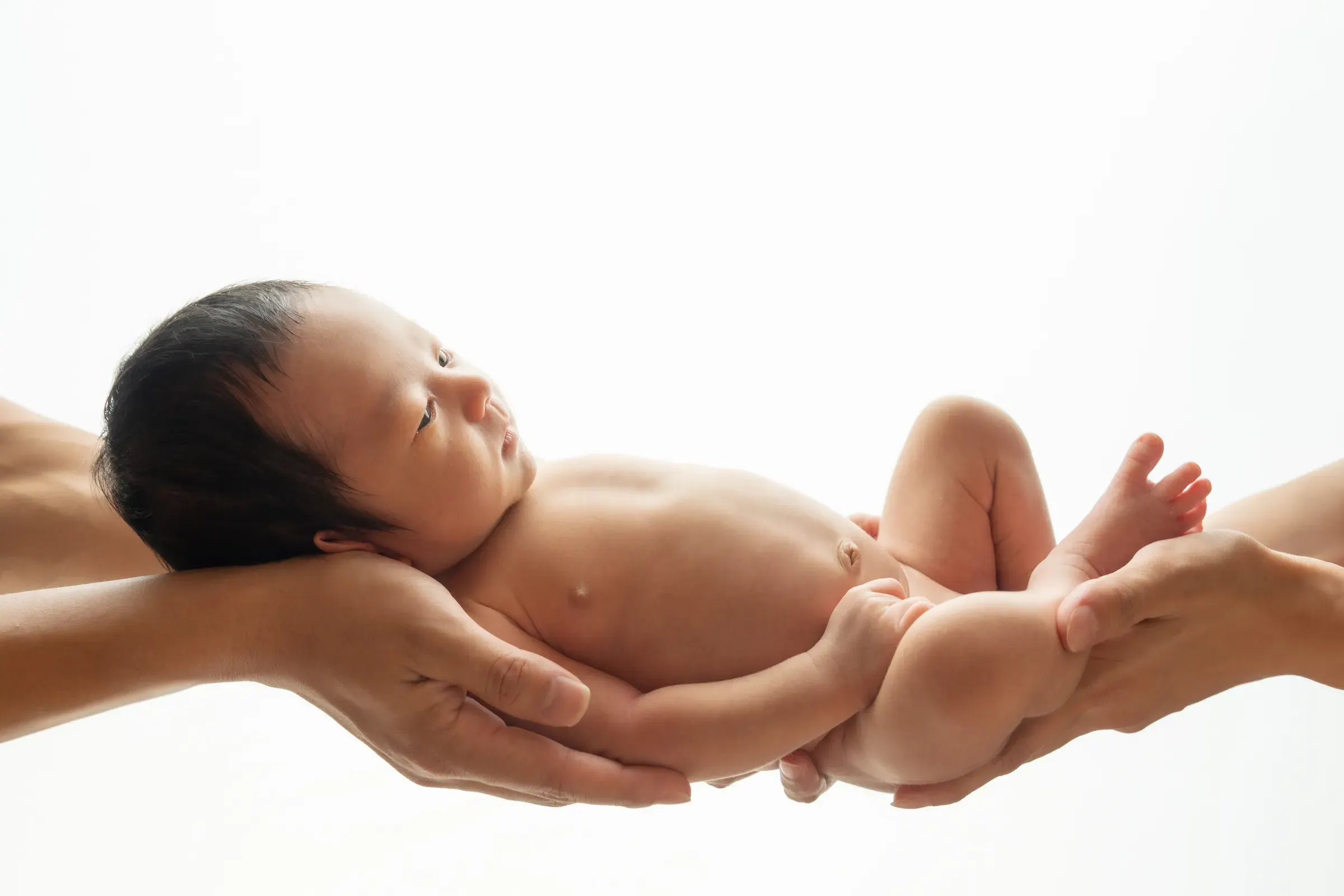 大人の両手に支えられ、横を向く新生児。白い背景